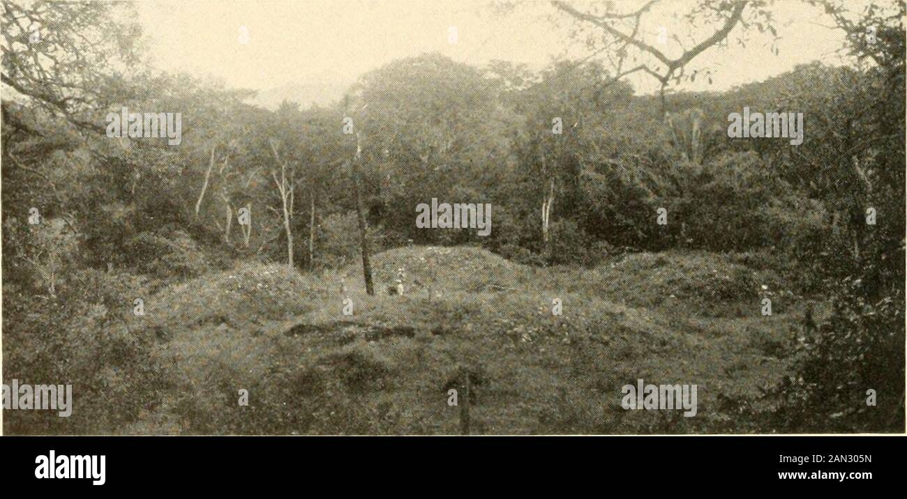 Explorations and field-work of the Smithsonian Institution in .. . Fig. 69.—Clearing ceremonial ball court at Naco.. Fig. 70.—Late prehistoric mound group, Las Vegas, Chamelicon River. SMITHSONIAN EXPLORATIONS, I936 71 Stock Photo