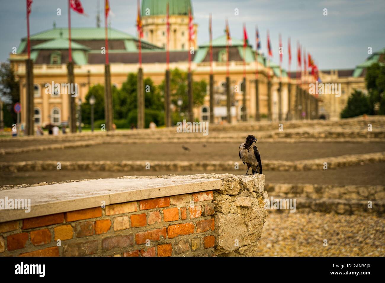 Buda Castle Royal Palace in Budapest, Hungary Stock Photo - Alamy