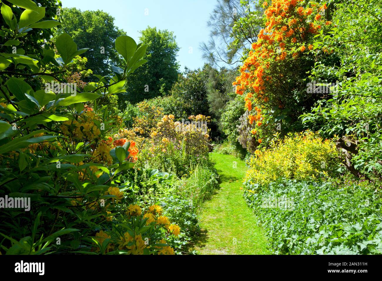 English cottage garden spring hires stock photography and images Alamy