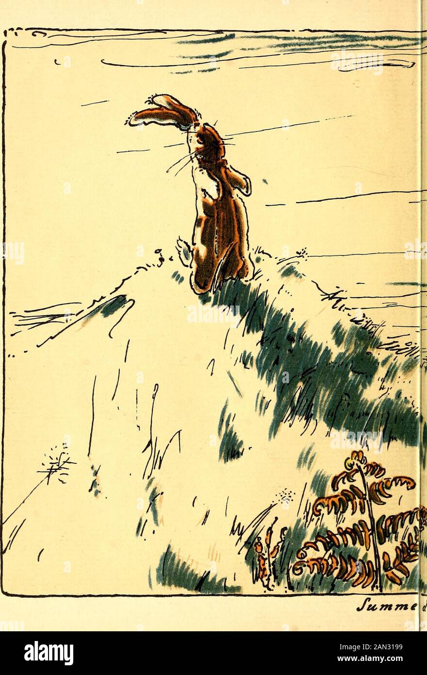 Velveteen rabbit hi-res stock photography and images - Alamy