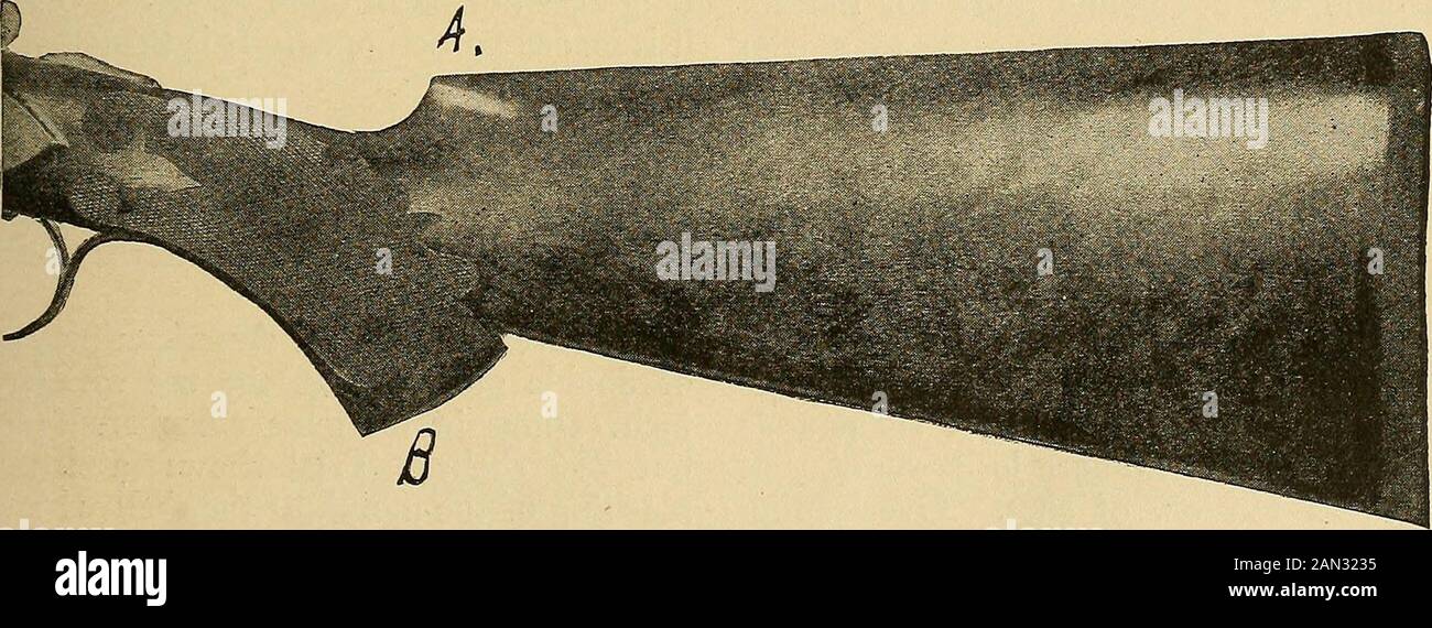 Outing . k to tubes thirty inches long. The thirty-two-inch barrels are ex-tremes, and I would not again selectthem, although I shoot a 14^-inch stock.Even with fifteen-inch stock, the gun hasa long, lean, and hungry look with itssmall frame and its small tubes, nor isthere any occasion for such elongationwhen the 20 is used for 20-bore work.Also there is the danger that the makerwill fall down on the job. Tubes thirty-two inches long are not at all easy toproportion to the normal stock to giveperfect balance and fast handling. Par-ticularly is this true when the stock is re-duced to 20-gauge Stock Photo