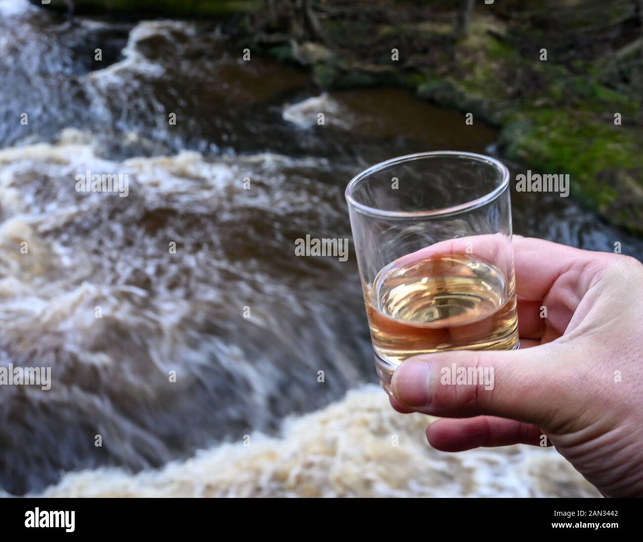 Scotch single malts or blended whisky spirits in glasses with water of