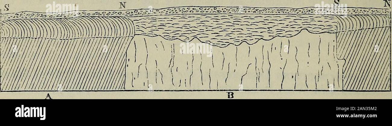 The Quarterly journal of the Geological Society of London . elf; but it was not until I had examined more extensive sectionsfurther to the west, on the east Exmoor hiUs, that I became con-vinced of the necessity of having recourse to a more uniformlyefficient cause than even the most exaggerated form of what is com-monly called atmospheric action. The object of this paper, how-ever, is not so much to theorize on the precise nature of this cause,as to state several important facts. 2. Sections in a Quarry near Wiveliscomhe.—In a quarry about amile and a half from Wiveliscomhe several very instr Stock Photo