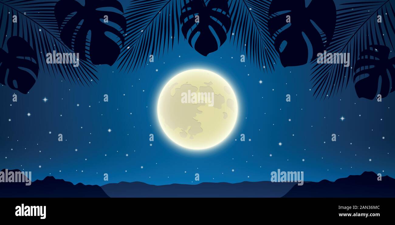 Romantic Night Background With Full Moon And Palm Tree Leaves Vector Illustration Eps10 Stock Vector Image Art Alamy