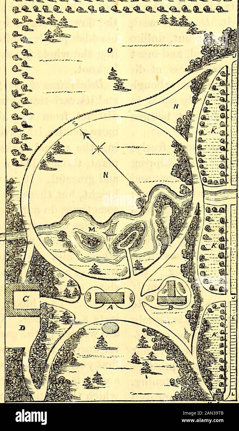 The Horticulturist and journal of rural art and rural taste . w6 main entrances withwell-shaded drives. The lodges for thegardeners command the gates. There isan immediate access from one of those cot-tages to the hot beds and garden which is exposed to the full sun. The sight of thisvegetable garden is entirely hidden by abelt of ornamental planting. Around thegreen-house and graperies are flower bedsand stumps, with a nice walk around. Plan for Laying-out a Ten Acre Lot. 267 Rhododendrons and Kalmias can be plant-ed on the northern and other shaded sidesof the dwelling. The access is very ea Stock Photo