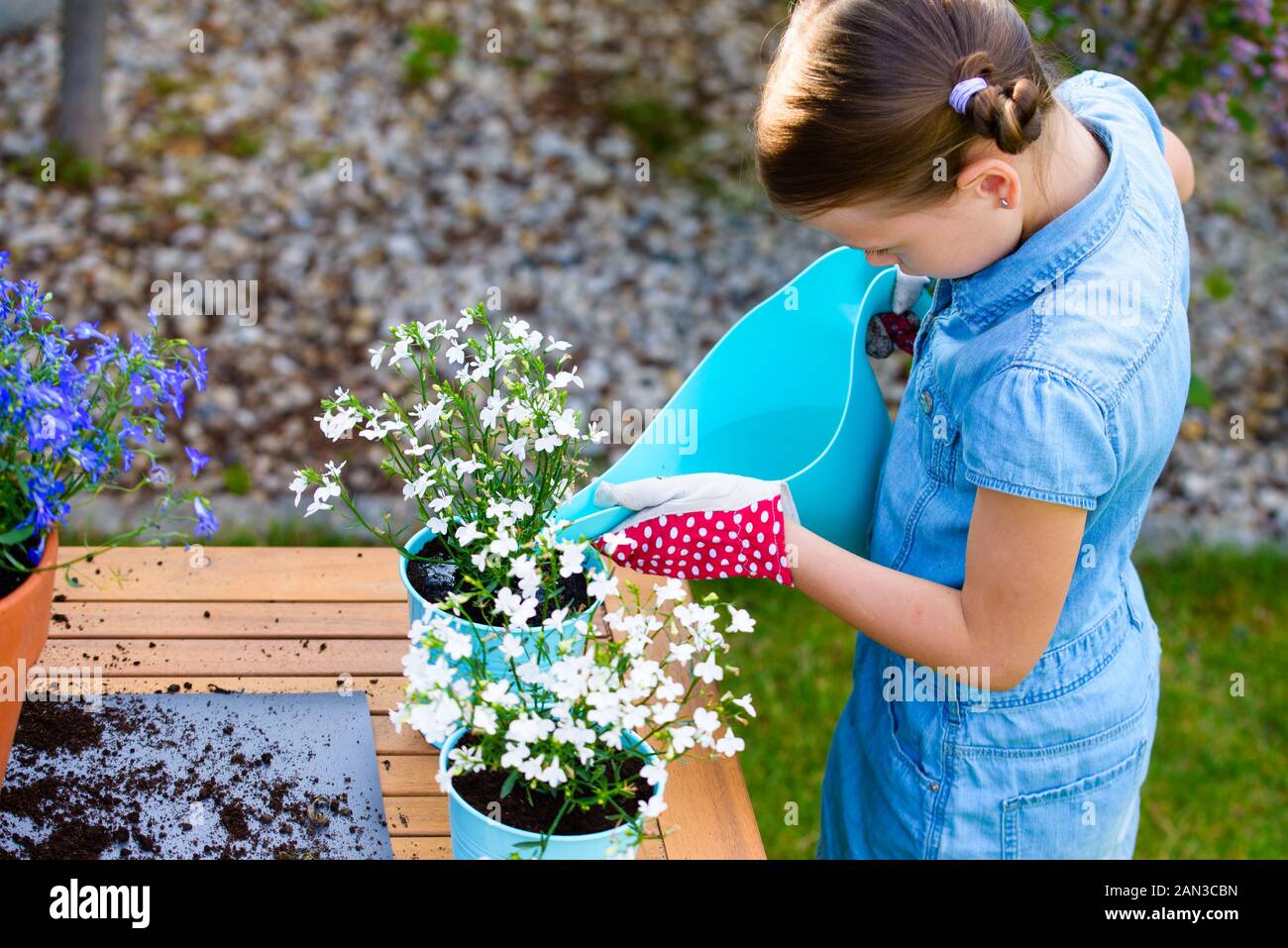 little girl watering freshly planted flowers in pots Stock Photo Alamy