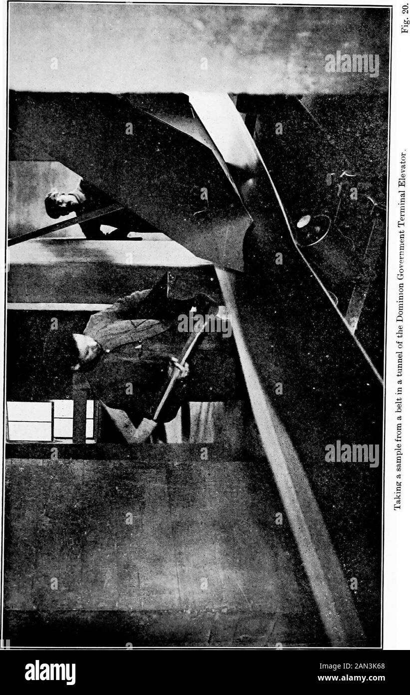 Grain inspection in Canada . 42 in tlie elevator is checked by the grading of the inspector who has charge of allthe inspection at the terminal points, Mr. Symes (fig. 32). A sample of everycargo -with the Port William inspection is also sent to the Chief Inspector inWinnipeg. Number of Cars op Grain Inspected in Winnipeg from 1900 till 1913. Cars. 1900 32,575 1900-1 15,405 1901-2 5Y,500 1902-3 ; 54,995 1903-4 40,299 1904-5 40,396 1906-6 69,178 1906-7 81,506 1907-8 63,972 1908-9 87,957 1909-10 114,997 1910-11 100,737 1911-12 176,201 1912-13 189,075 Stock Photo
