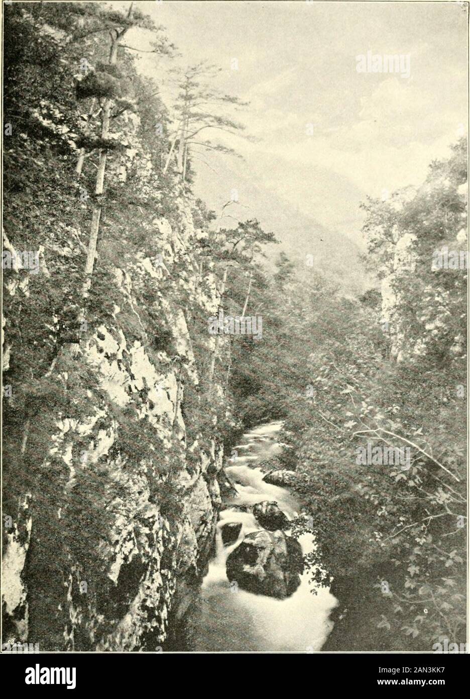 Page 4 - Frischem High Resolution Stock Photography and Images - Alamy