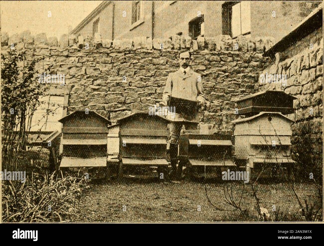 British bee journal & bee-keepers adviser . s of shallow-frames, they neverswarmed. It will be noticed that thehiveis are placed very close together, so inorder to give the bees a better chance ofdistinguishing their own domicile, No. 1is painted a jaale blue, No. 2 oak-grained,No. 3 green, and No. 4 red. The hive uncovered and showing feed-ing-bottle had a queen which did not com-mence to lay until three weeks after fer-tilisation in autumn, and then began with In 1903 I gained my third-class expertscertificate, and hope to go still higher,though I do not tliink the pi-esent expertvisiting sy Stock Photo