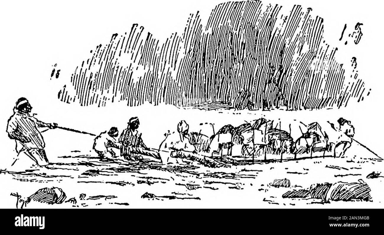 Across the Andes . latform. Every one of his callapos was curi-ously enough w^recked in the same rapids on theday after he announced his thrifty principles.The general allowances is about two quarts a dayfor three men, and perhaps, if the day has been ahard one, a small teacupful each in the camp.Money to them has no value compared with cafi-assa. Once, when trying to buy a fine bead neck^band from a Lecco, I offered him money up toa dollar, Bolivian, the equivalent of eight bot-tles of canassa, and he refused, for his Leccosweetheart had made it; then I began to barterall over again by offeri Stock Photo