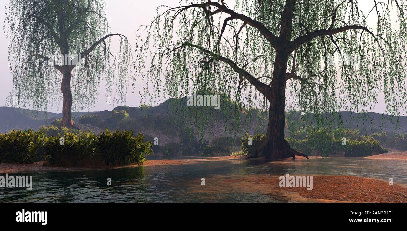 Weeping Willow trees perch on nearby banks of this flowing river near some low mountains. Stock Photo