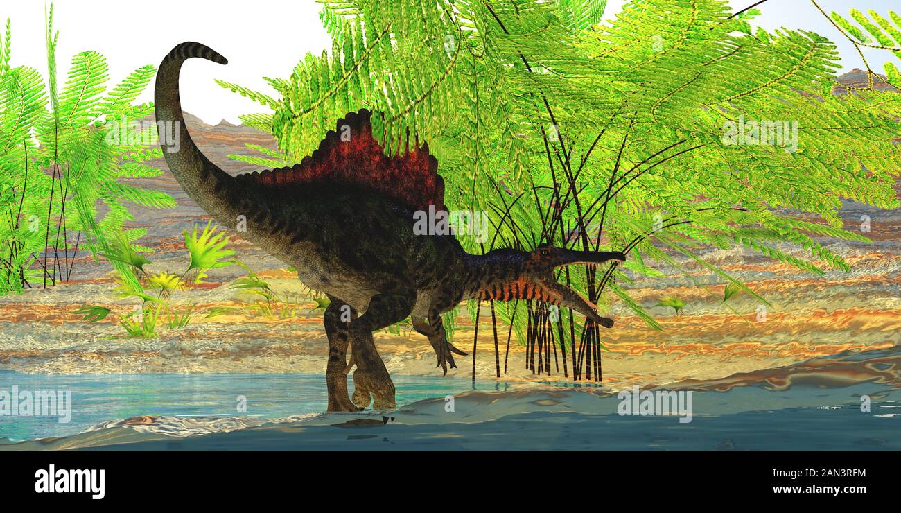 A Spinosaurus dinosaur seeks refuge from the heat of the day by seeking shelter under palm fronds. Stock Photo