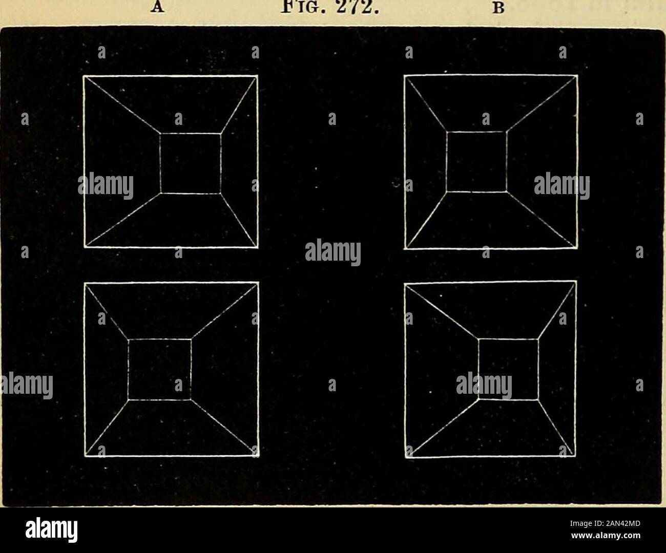 Carpenter's principles of human physiology . in the centre, and the four sides sloping equally towards it. —Prof. Wheatstone hasfurther shown, by meansof the Stereoscope, thatsimilar images, differingto a certain extent inmagnitude, when pre-sented to the correspond-ing parts of the tworetina?, give rise to theperception of a singleobject, intermediate insize between the twomonocular pictures.Were it not for this,objects would appearsingle only when at anc d equal distance from both eyes, so that their pictures upon the retina? are of the same size ; which will nothappen unless they are direct Stock Photo
