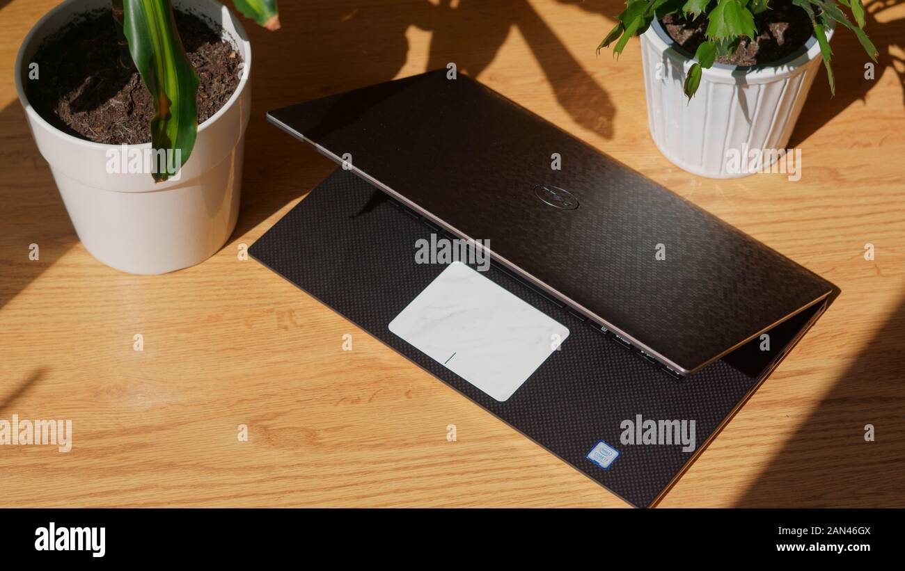 Open laptop with vinyl skin next to plants Stock Photo