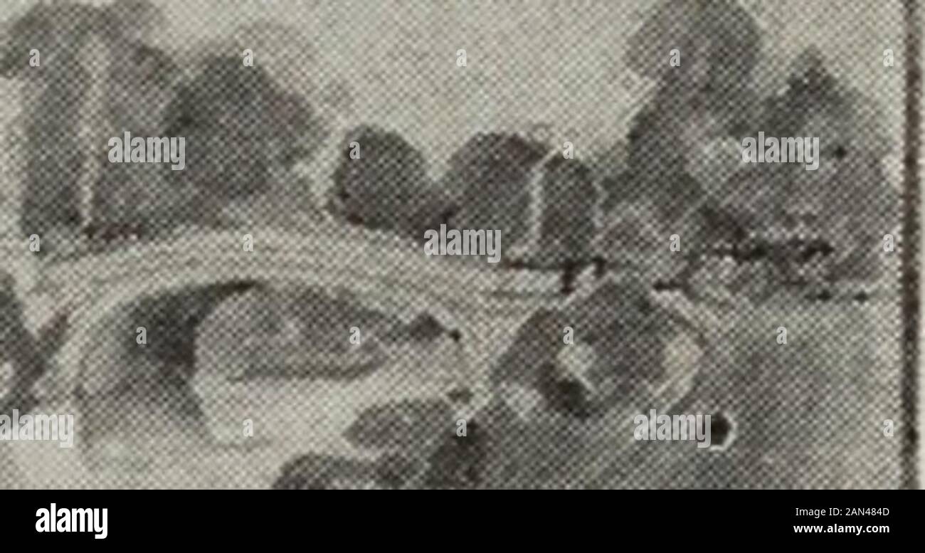 The 1917 Reptonian: an annual publication representative of the work in the professional course of landscape gardening at the University of Illinois . First PrizeMention Strong and TroegerG. S. Rogers Twenty-four The 1917 Reptonian Junior Design E. M. Fickett THE ALLEN F. MOORE ESTATE The Problem:—The problem consists of the design of a country estateon a tract of land shown on the accompanying topographical map. Thearrangement shown consists of a tract of 15 acres which is part ofa farmlocated near the town of Monticello. There is considerable tree growthconsisting of spruce, Scots pine, mapl Stock Photo
