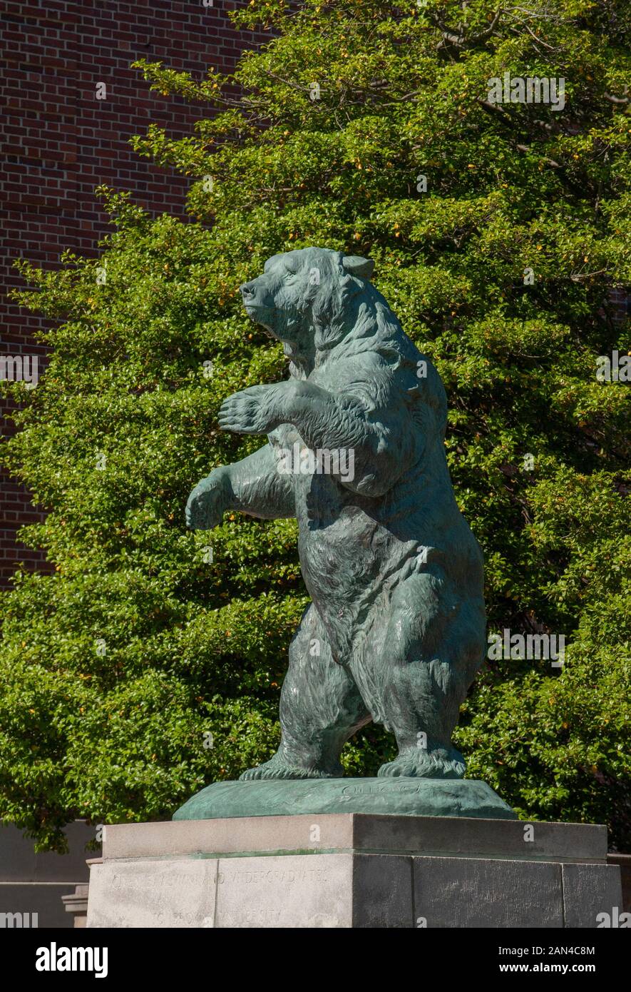 Richard a friedman hires stock photography and images Alamy