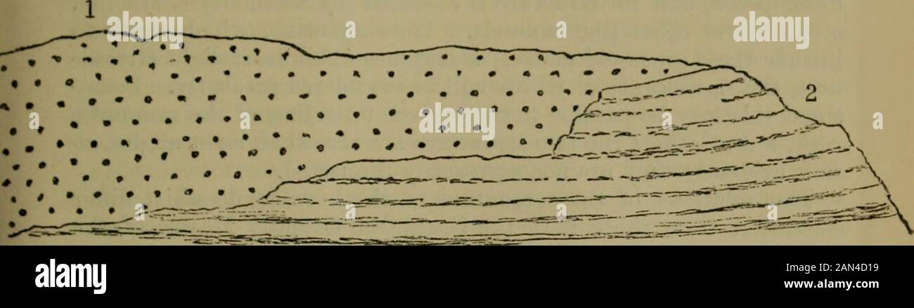 The Quarterly journal of the Geological Society of London . sive in the granulitic rock, which was, at that time, sub-stantially in its present condition, and that, as a rule, their relationshave not been disturbed subsequently to any noteworthy extent.The serpentine has broken through the granulitic rock, some- * Quart. Journ. Geol. Soc. vol. xliv. (1888) p. 309.t Geol. Mag. (1888) p. 554, (1890) p. 505. ox Tin: CRYSTALLINK ROCKS OF TlIK LIZ.VKD DlSTllICT. 4f5l&gt; times apparently twistinj^j up the raf^j^ccl ends into dykc-liko masses,sometimes porliaps breaking off and carryini^;; up liugo Stock Photo