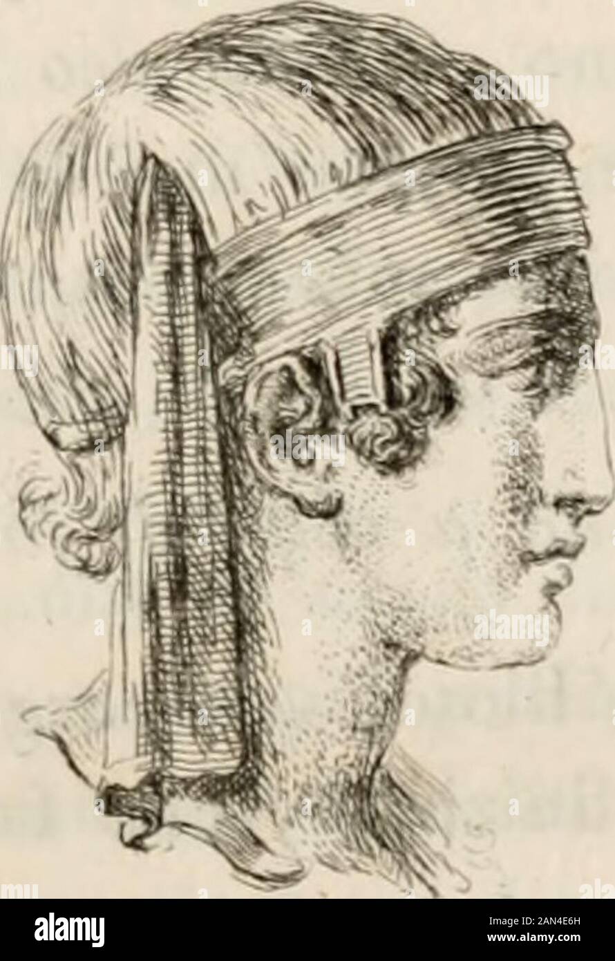 Laringe cavallo hires stock photography and images Alamy