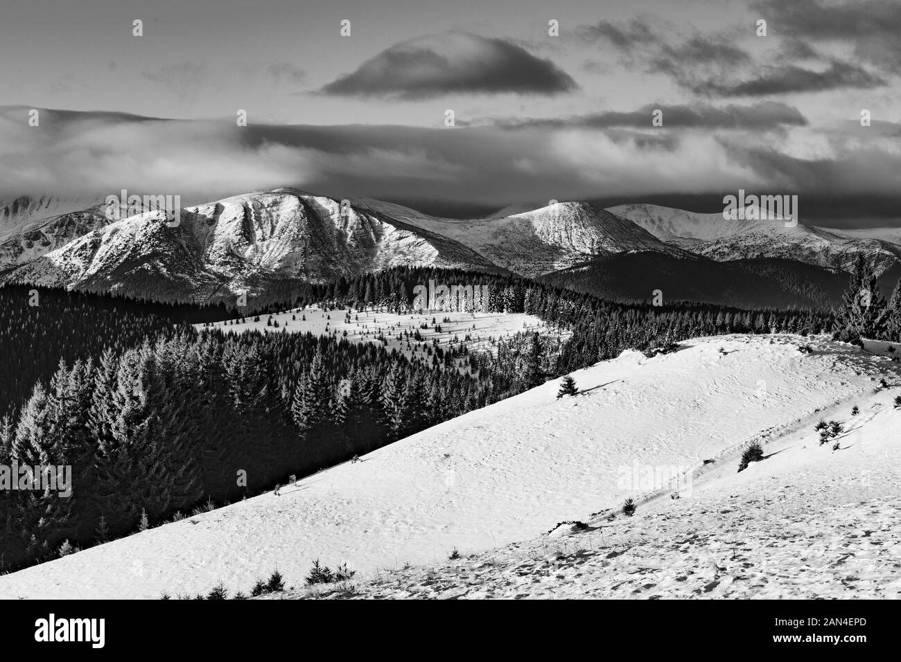 Artistic winter mountain landscape in black and white. Carpathian mountains, Ukraine. High resolution. Stock Photo