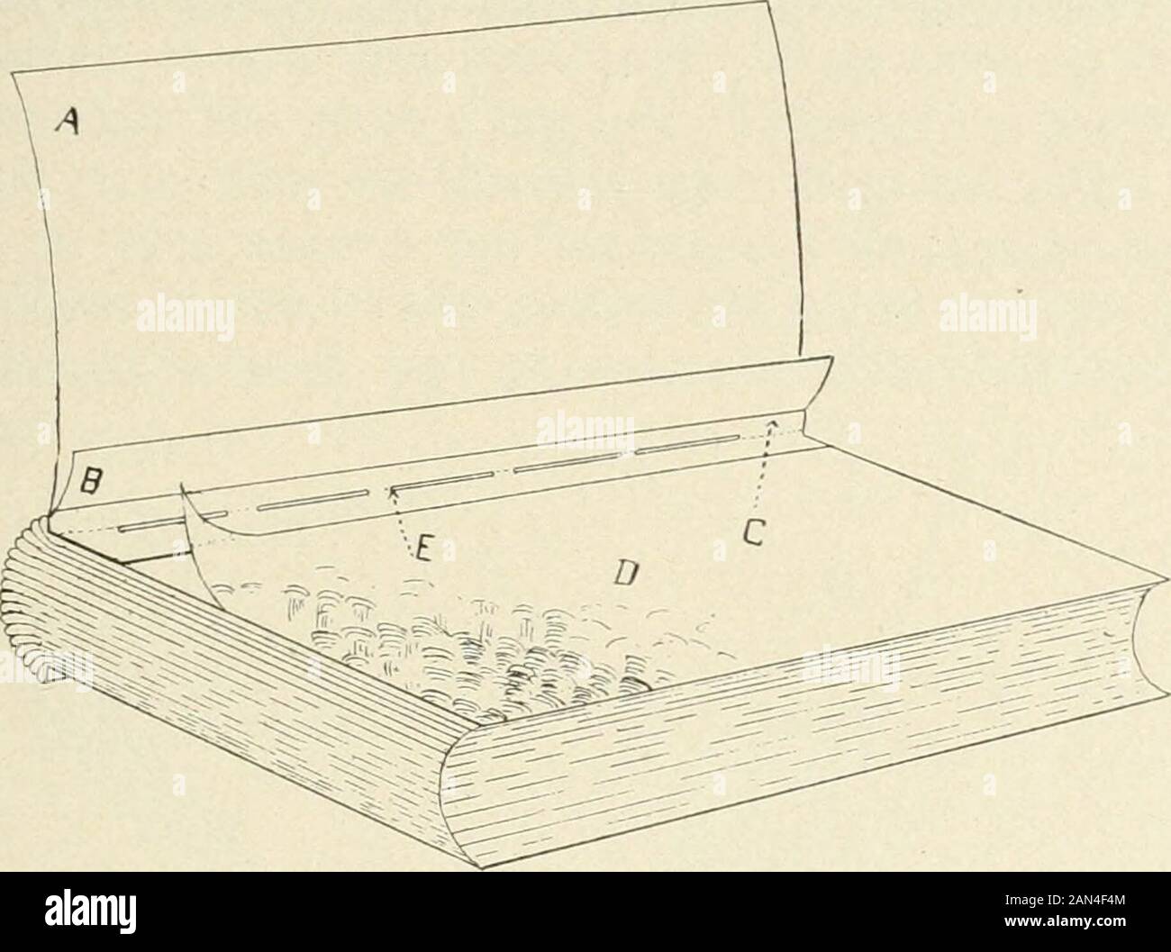 alamy