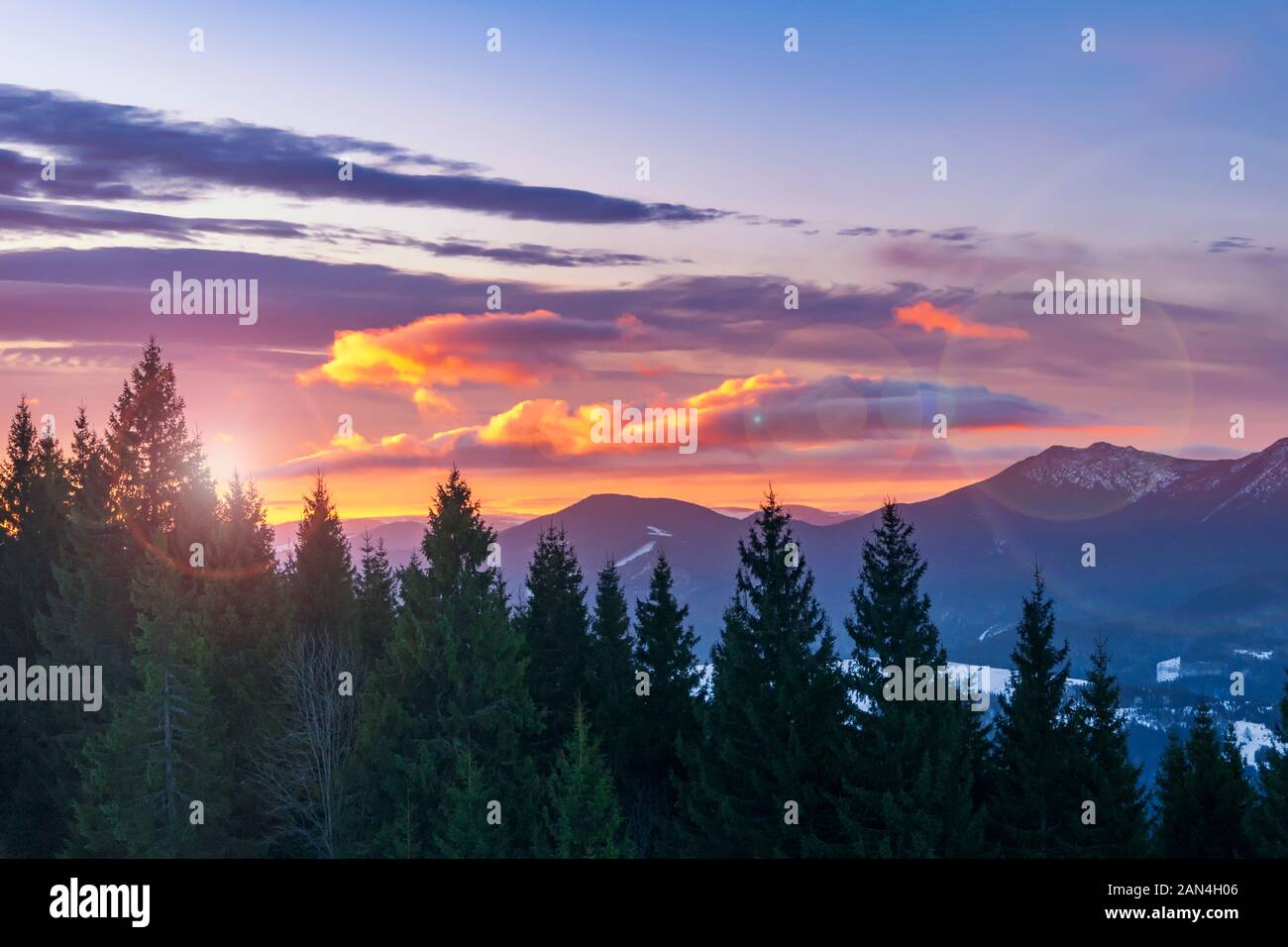 Pink sunset on a mountain top. Winter landscape in Carpathian mountains. Stock Photo