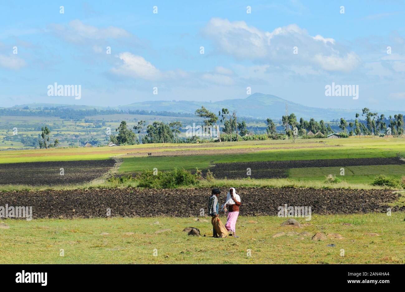 Ethiopian women socializing in the farm. Stock Photo