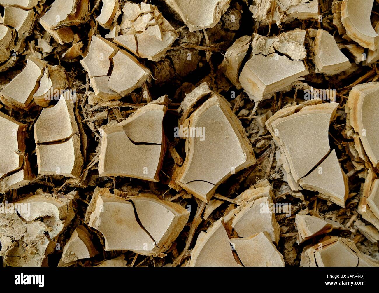 Cracked earth surface made of light brown soil material, close detailed view. Stock Photo
