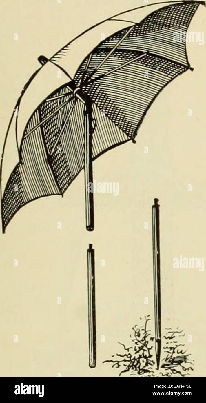 Steel umbrella frame hires stock photography and images Alamy