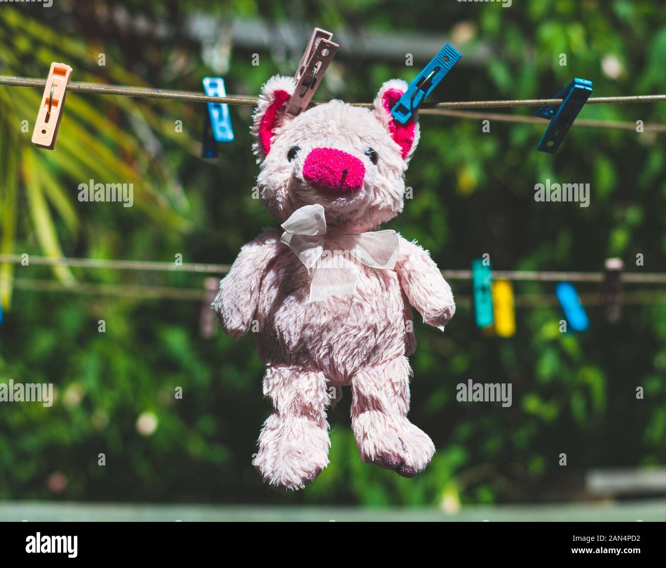 Plush stuffed animals hi-res stock photography and images - Alamy