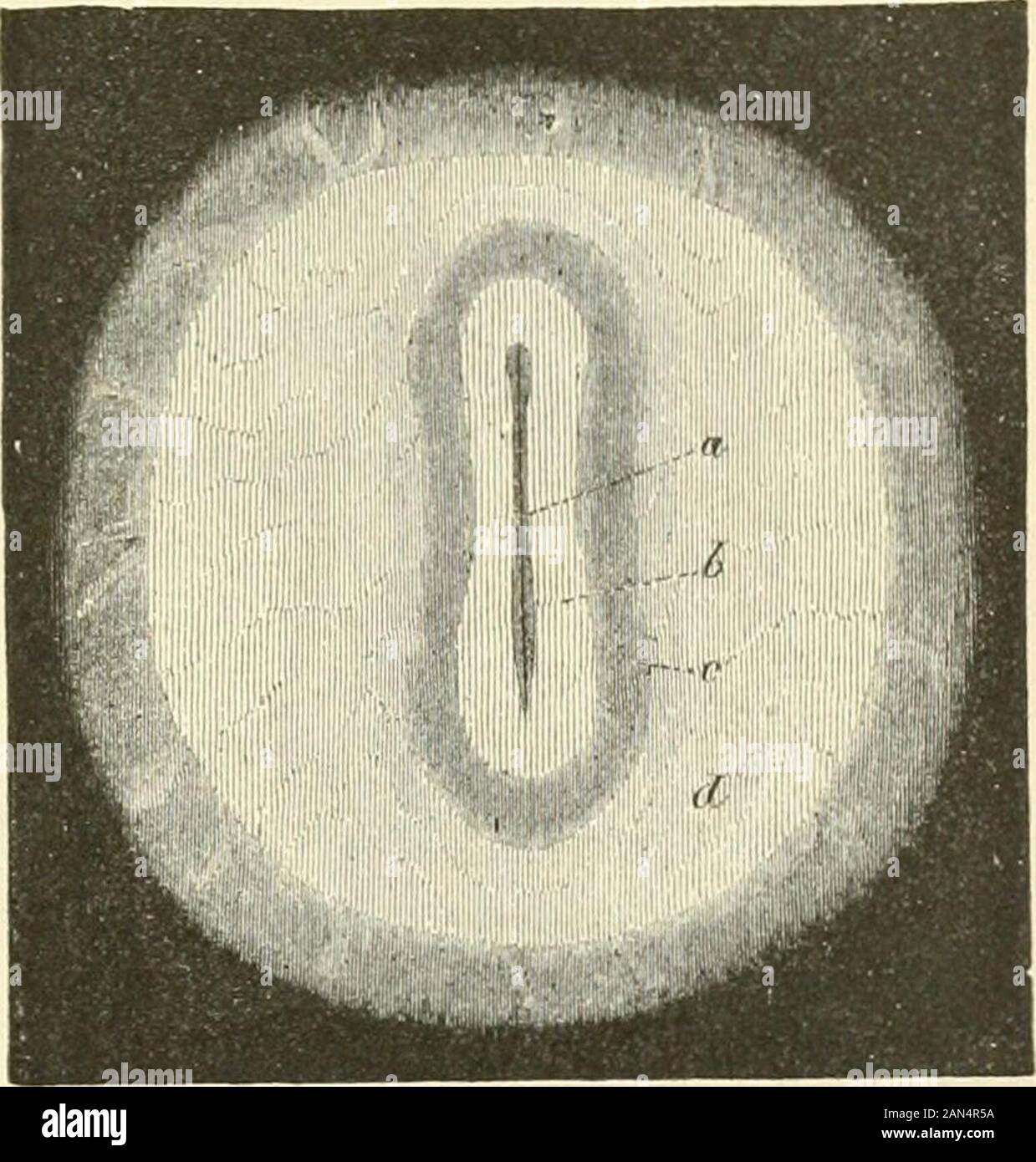 Trennung 7 High Resolution Stock Photography And Images Alamy
