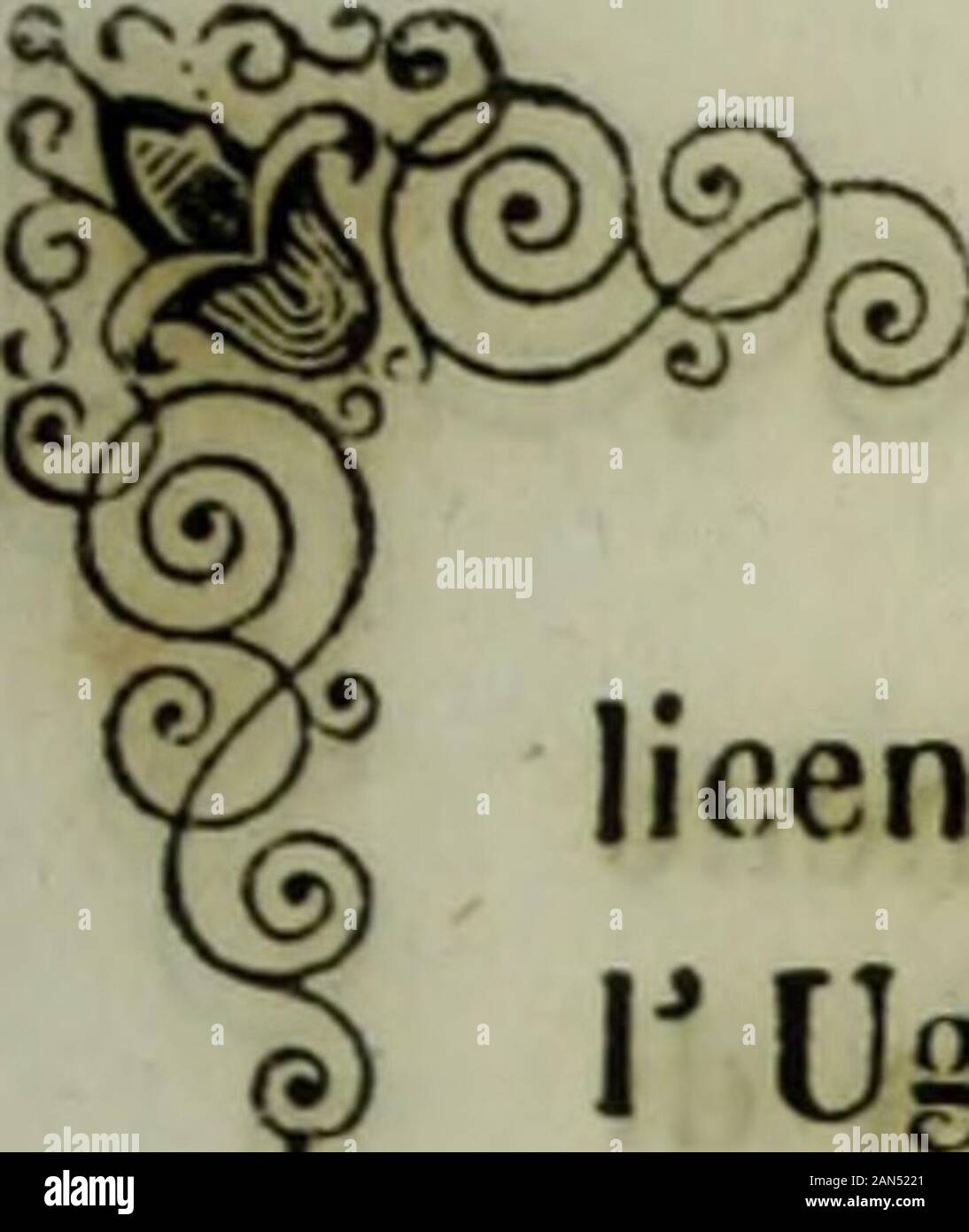 Storia di Castiglione delle Stiviere sotto il dominio dei Gonzaga . ma donUgolini, che sorvegliava ogni piccola mossa, seppe pe-netrare il disegno, e se non potè impedire la spedizionedi un tale ricorso, certo riusci a ritardarla. L impera-tore riscontrò il ricorso con due dispacci, uno al ducae laltro a donna Gridonia. Raccomandava al duca din-terporsi per definire in via amichevole le controversieper le possessioni di Azzano, ed eccitava donna Grido-nia a compatire il traviamento, così ella Io definiva,del giovine principe, scusandolo perchè era stato daitristi circonvenuto ed ingannato. Ven Stock Photo