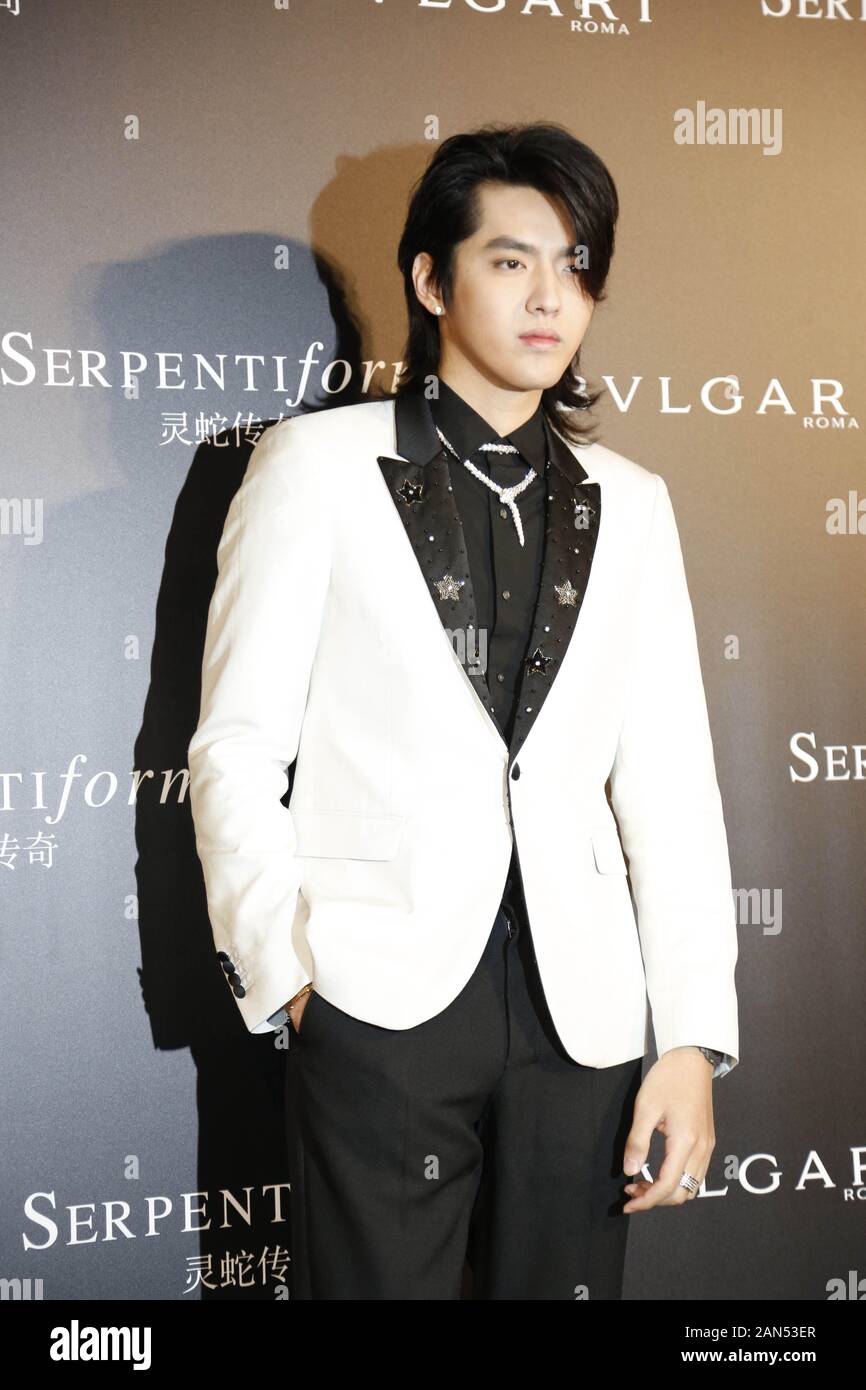 Chinese Singer Actor Kris Yifan Attends Louis Vuitton Fashion Show – Stock  Editorial Photo © ChinaImages #238337430