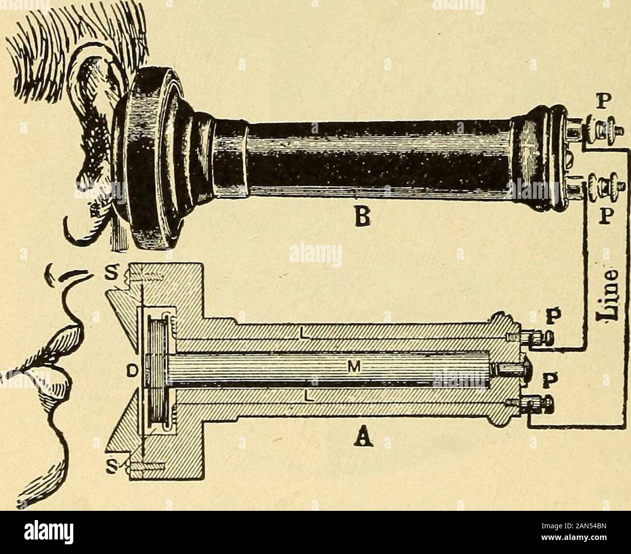 Lessons in practical electricity; principles, experiments, and arithmetical problems, an elementary text-book . nd be interposed between such a screen andthe tube, the shadow of the bones can be plainly seen on thescreen, the bones intercepting some of the Roentgen rays, andthus causing the shadow. Wood readily allows the rays topass through it, so that if an inch board be held between thehand and the screen, the shadow is still visible. In thefluoroscope such a fluorescing screen forms the bottom of abox, the opaque sides of which slant inward toward the topwhere an opening is left for observ Stock Photo