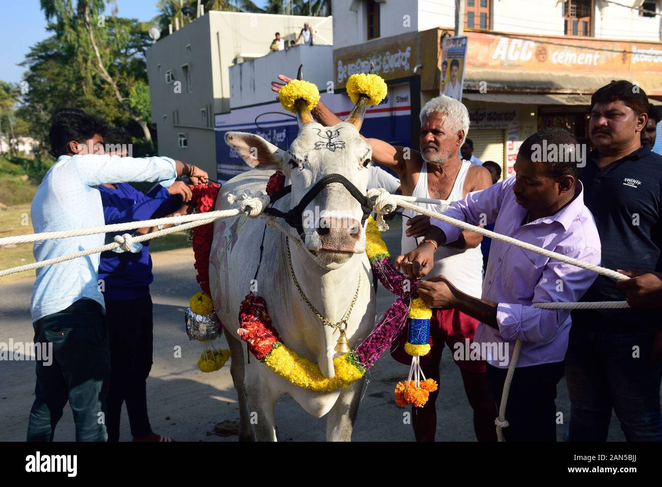 Kichchu hires stock photography and images Alamy