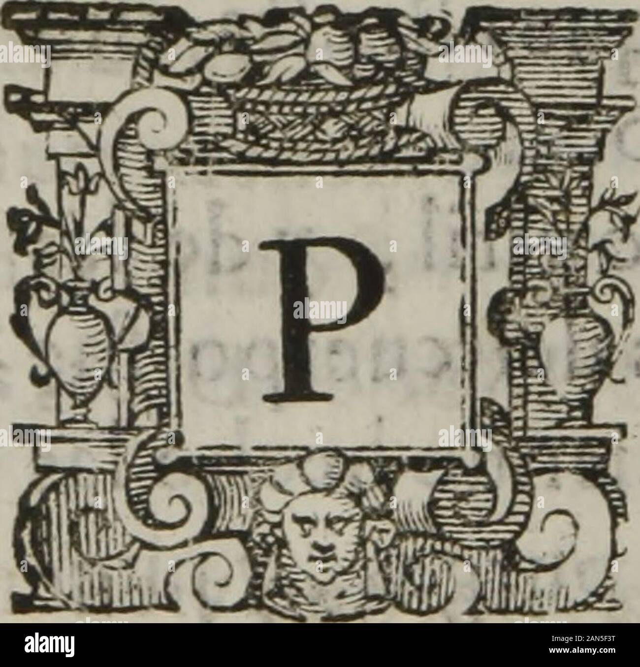 Tratado breve de medicina y de todas las enfermedades : . a qualquicra que fea. DON De fe pueden hallar hojas de laurel bígajlefte remedio para vna quemadura,dt fuego, ode agua,óde poluora.Tomen las hojas de laurel pueñas íobre vn plato, y fobre ellas echen las gotas deltozino gordo embuelto en vn papef,que vavan que-mando.-y defqje las hojas citen toftadas con efto,Iasiriuean y mezclen con la grafa del plato , y en vn al-mirez lo mucIan,trayendoIo a vna mano,v q íede como vnguen o.Vnten con círo dos vezes &1 dialaouemadudura,y en leys dias fanara. J Como fe ha de curarla Gota de los pies,y la Stock Photo