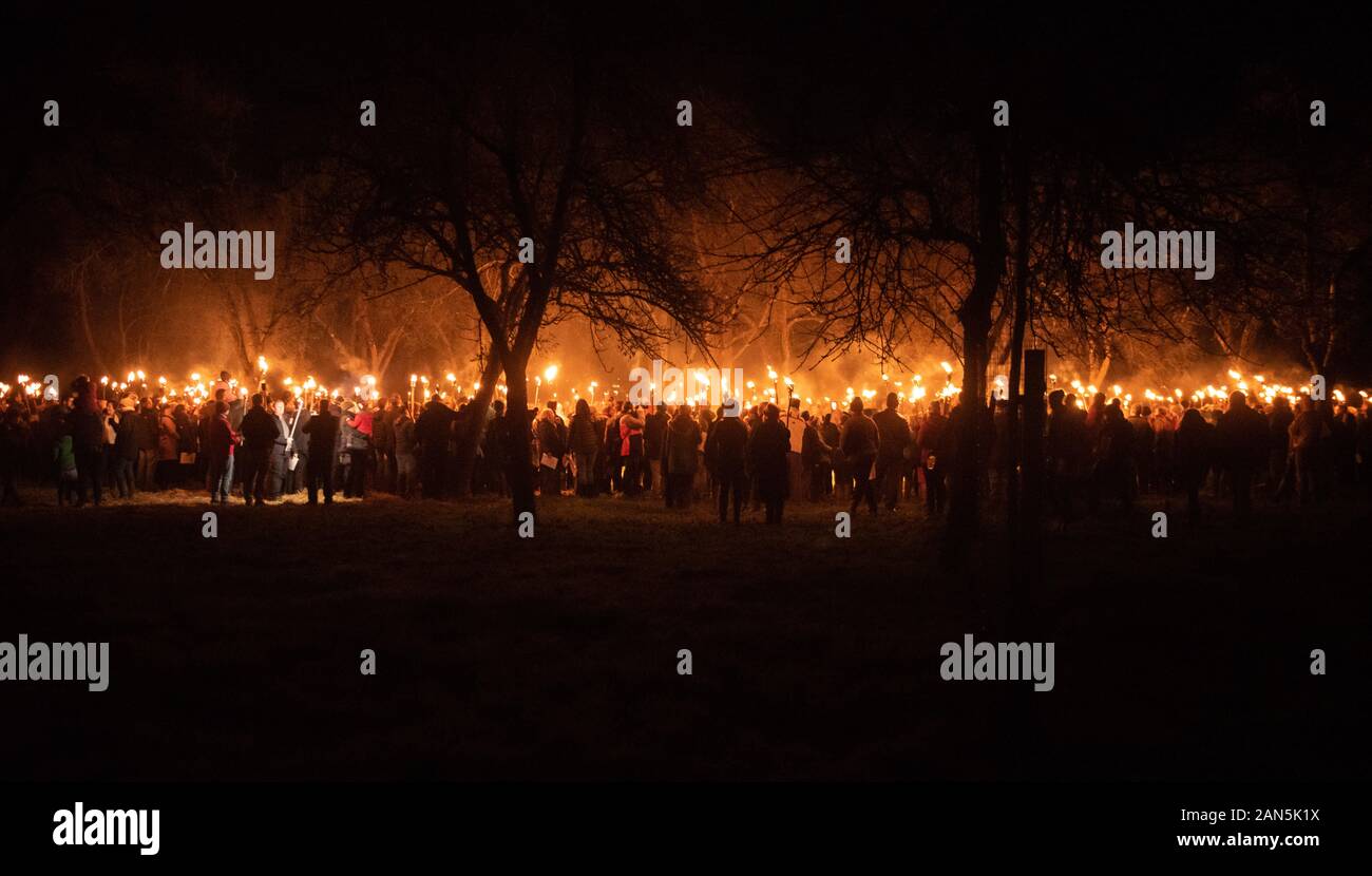 Much Marcle, Herefordshire, UK. 4th January 2020. Hundreds of people both young and old gathered at the Westons Cider Mill and adjoining orchard to ta Stock Photo