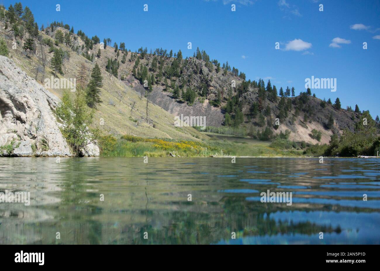 Swimming in the crystal clear waters of the warm spring at Nimrod. Nimrod Warm Springs is located just off US Interstate I-65 near Bearmouth, Montana. Stock Photo