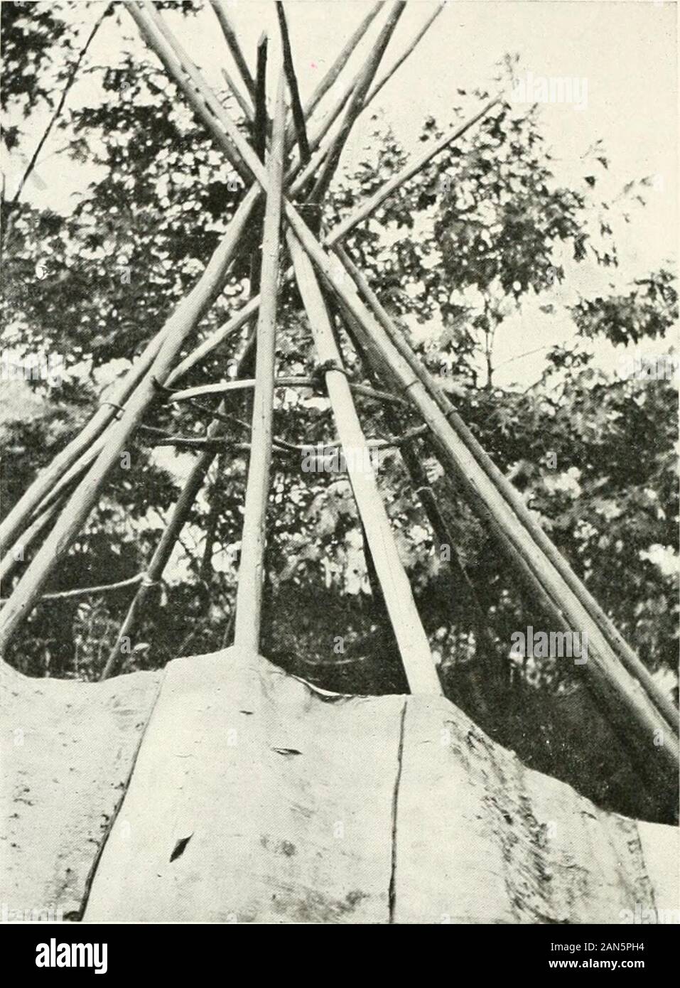 Birch bark wigwam hires stock photography and images Alamy