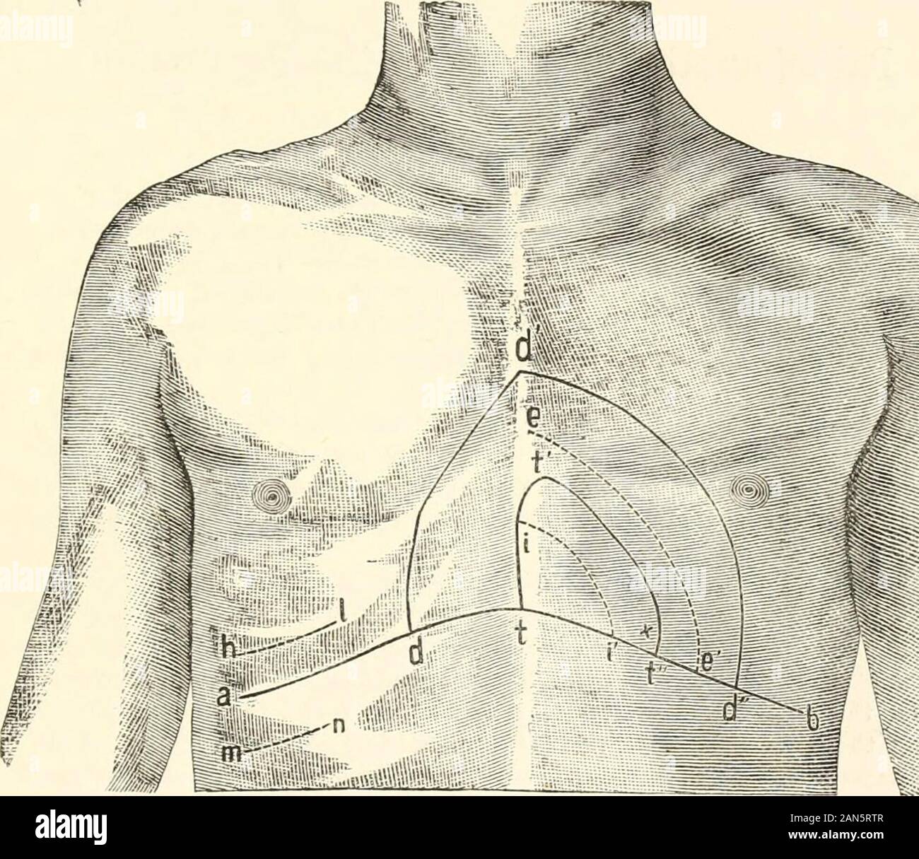 A manual of human physiology, including histology and microscopical