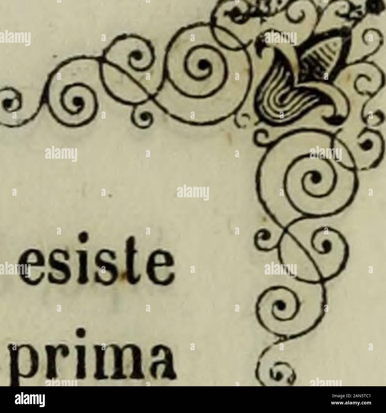 Storia di Castiglione delle Stiviere sotto il dominio dei Gonzaga . itore nostroaugusta? memoria? in marchionatum erectunij Civitatistitulo ac in Sacri Imperli Civitatum numerum  , eoo-ptavimus et aggregavimus = Intese con ciò limpera-tore di rimunerare in qualche modo i premurosi servigiprestati al suo trono dal principe Francesco, nelle so-stenute ambascierie presso le corti di Savoja, di Spagnae della Santa Sede. Coli eguale decreto, 1 imperatoreconcedeva al principe la facoltà di poter creare nobilidellimpero quei cittadini, che con virtuose ed onorateazioni fossersi segnalati, mettendoli Stock Photo