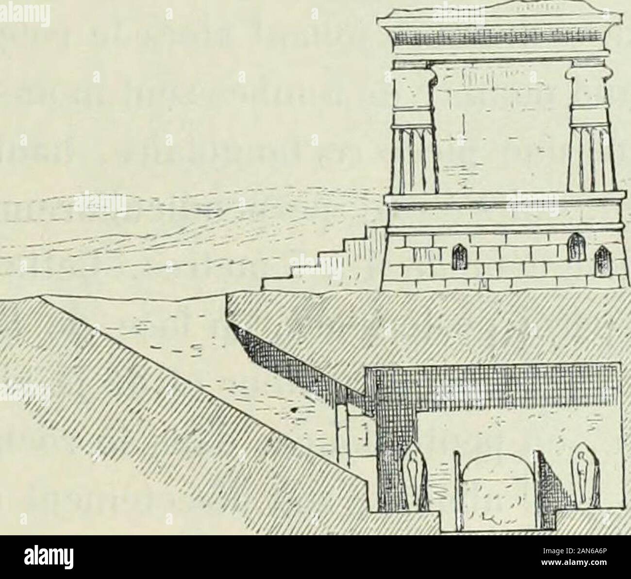 flanque high resolution stock photography and images alamy coloriage de la patrouille patte chasse puissante