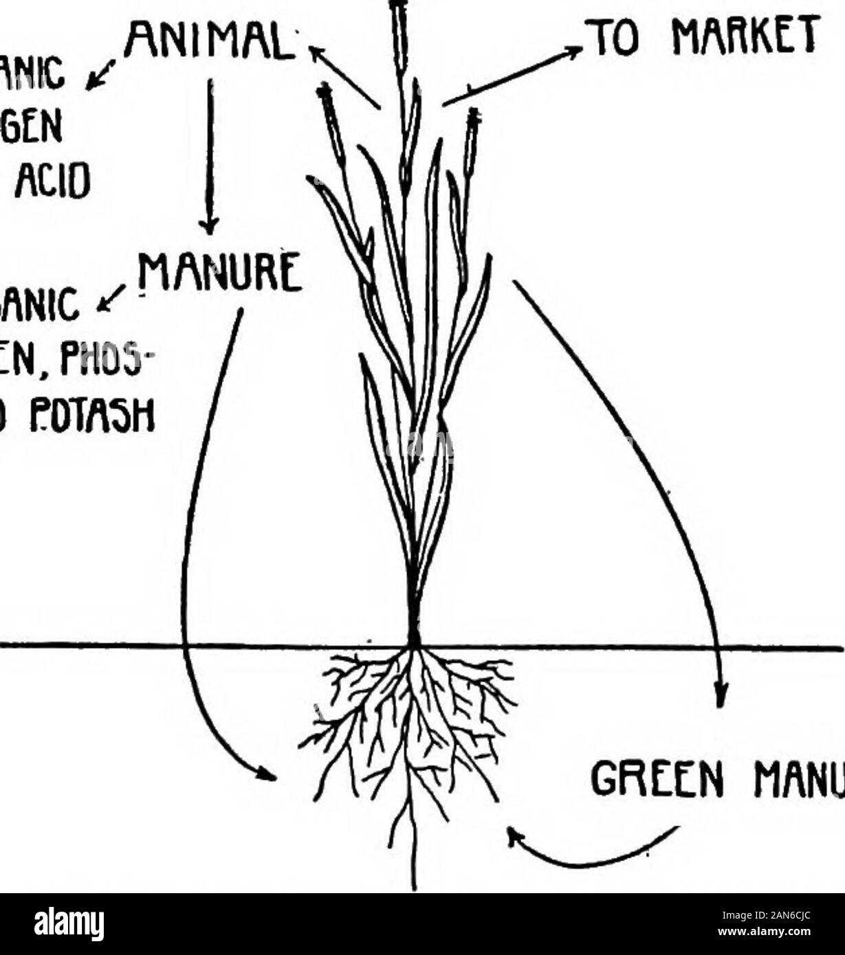 237 acre Cut Out Stock Images & Pictures Alamy