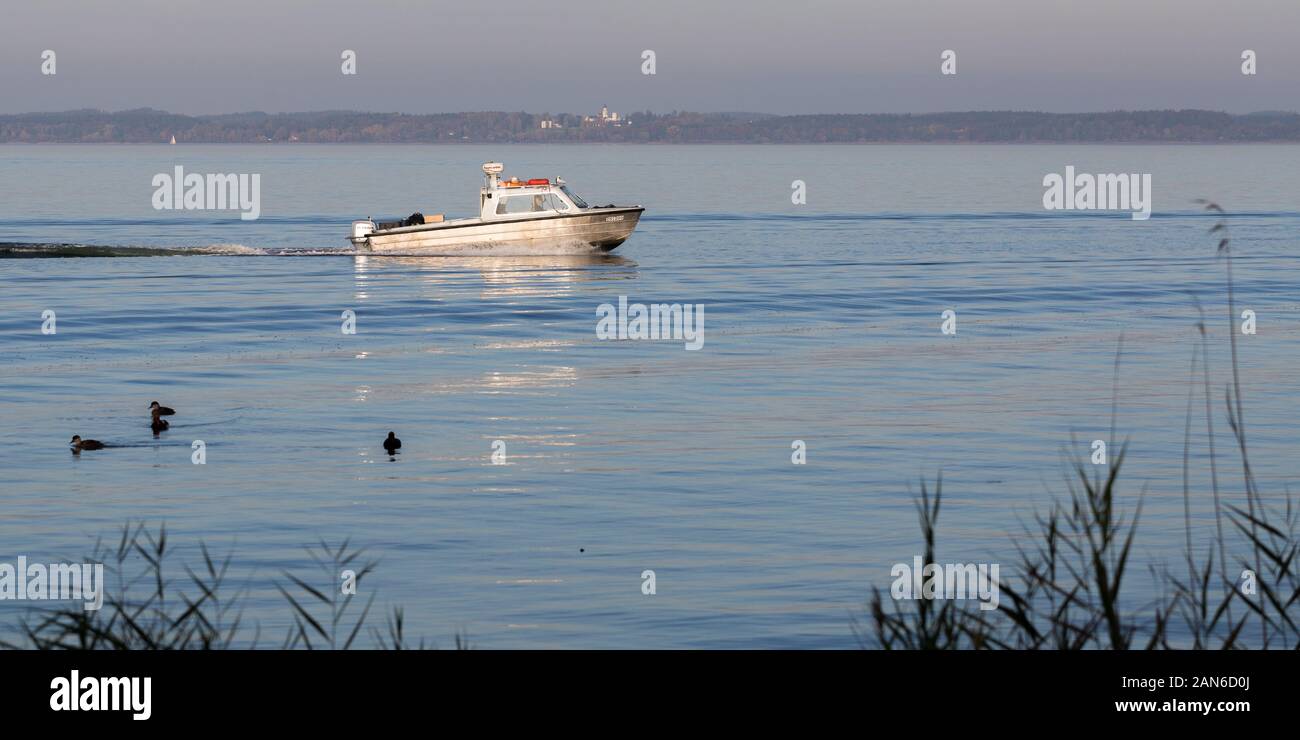 Small motor boat cruising on Lake Chiemsee (Bavaria). Ducks and sea grass in the foreground. Outdoor activity, moving with speed through nature. Stock Photo
