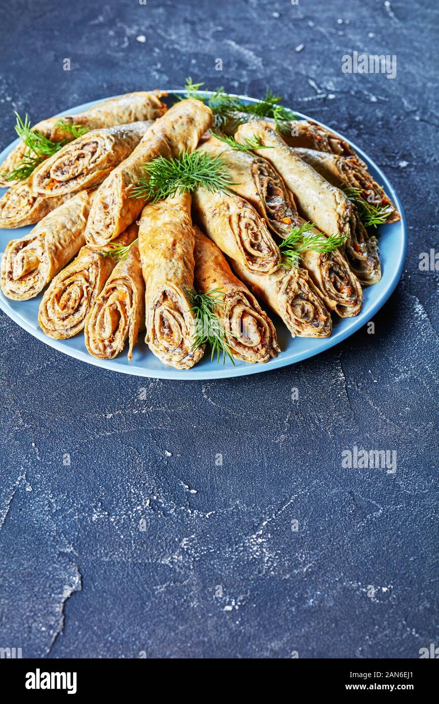 buckwheat crepes rolls with meat, vegetables and mushrooms fillings on a plate on a concrete table, vertical view from above, close-up Stock Photo