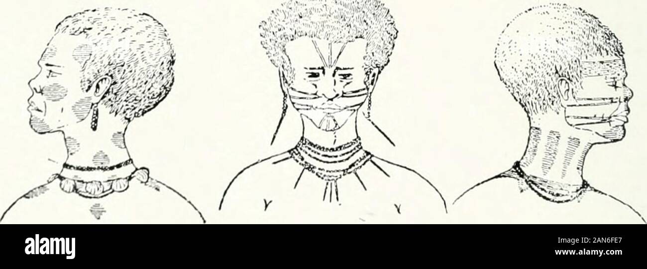 Pagan Races Of The Malay Peninsula 7 Voung Sakai Woman Of Changkat Riani 8 Voung Sakai Woman Of Changkat Chabang S K Aya 9 Ouilg Semaiig Girl Of Changkat Poiigor A S Piali 10