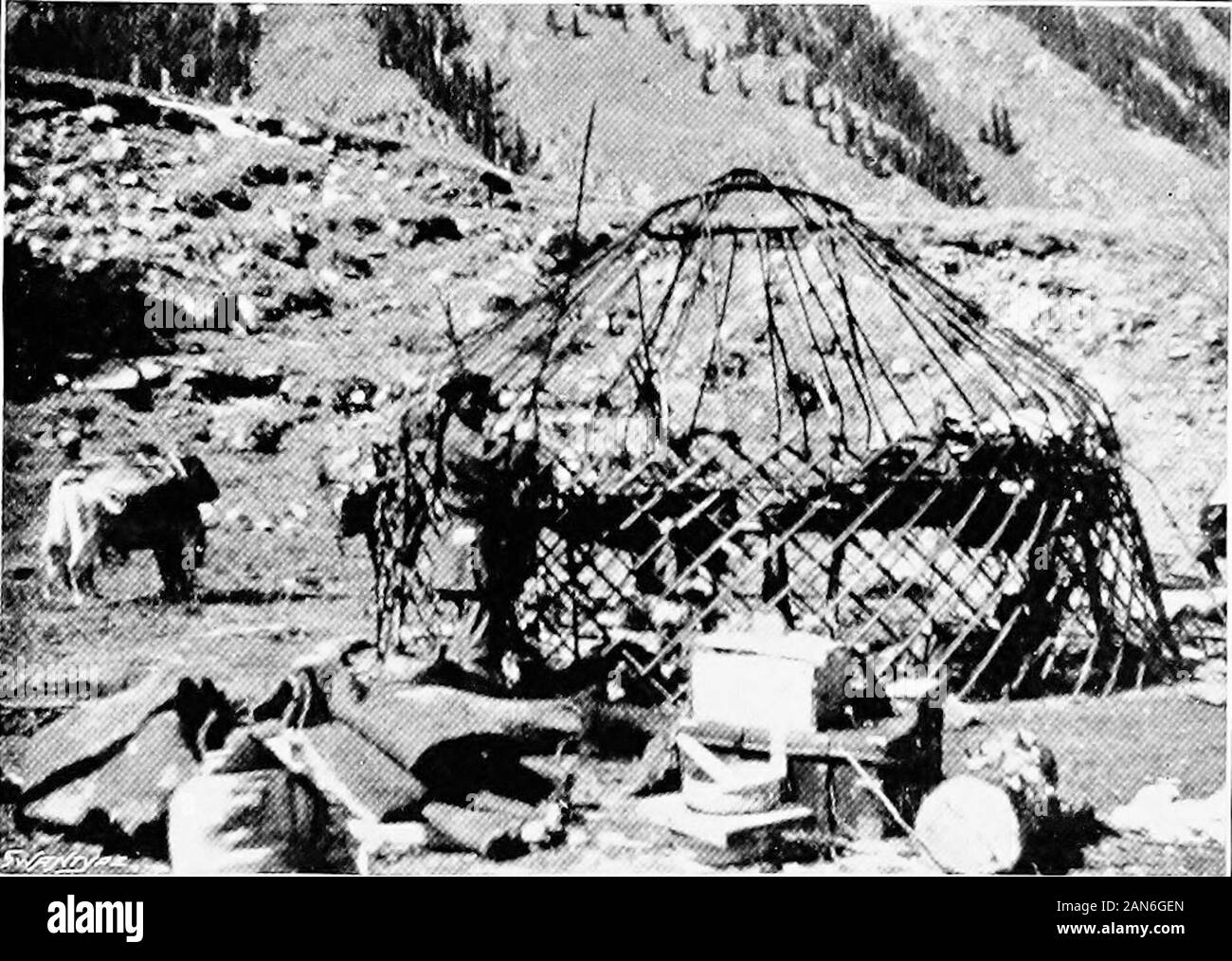 Chinese Turkestan with caravan and rifle . KALMAKS. PITCHING A NATIVE TENT Face page io8 WAPITI AND IBEX 109 chief Kalmak accompanied me part of the way tosee all safe over the worst part of it. Certainly,the badness of the road had not been at all exagger-ated ; it ran high up along the hillside, and wasnarrow and precipitous. In two or three placesthere was not room for a loaded pony to pass, soeverything had to be taken off; but the good oldchief had sent a lot of men to assist, so this did nottake long. After crossing a spur we scrambled andslid down a steep and stony zigzag track into a s Stock Photo