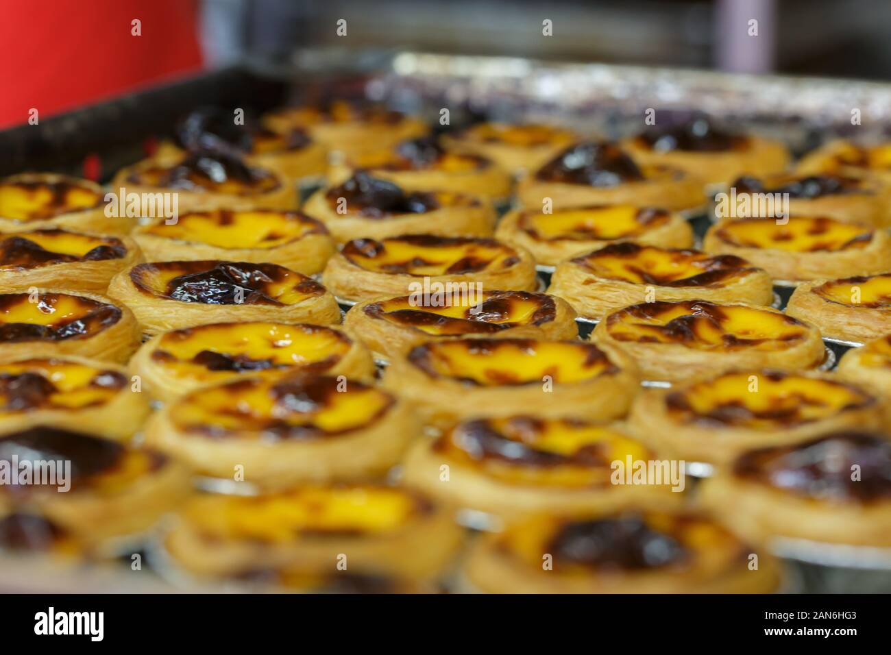 Close-up of a baking tray full with traditional macanese egg tart. Stock Photo
