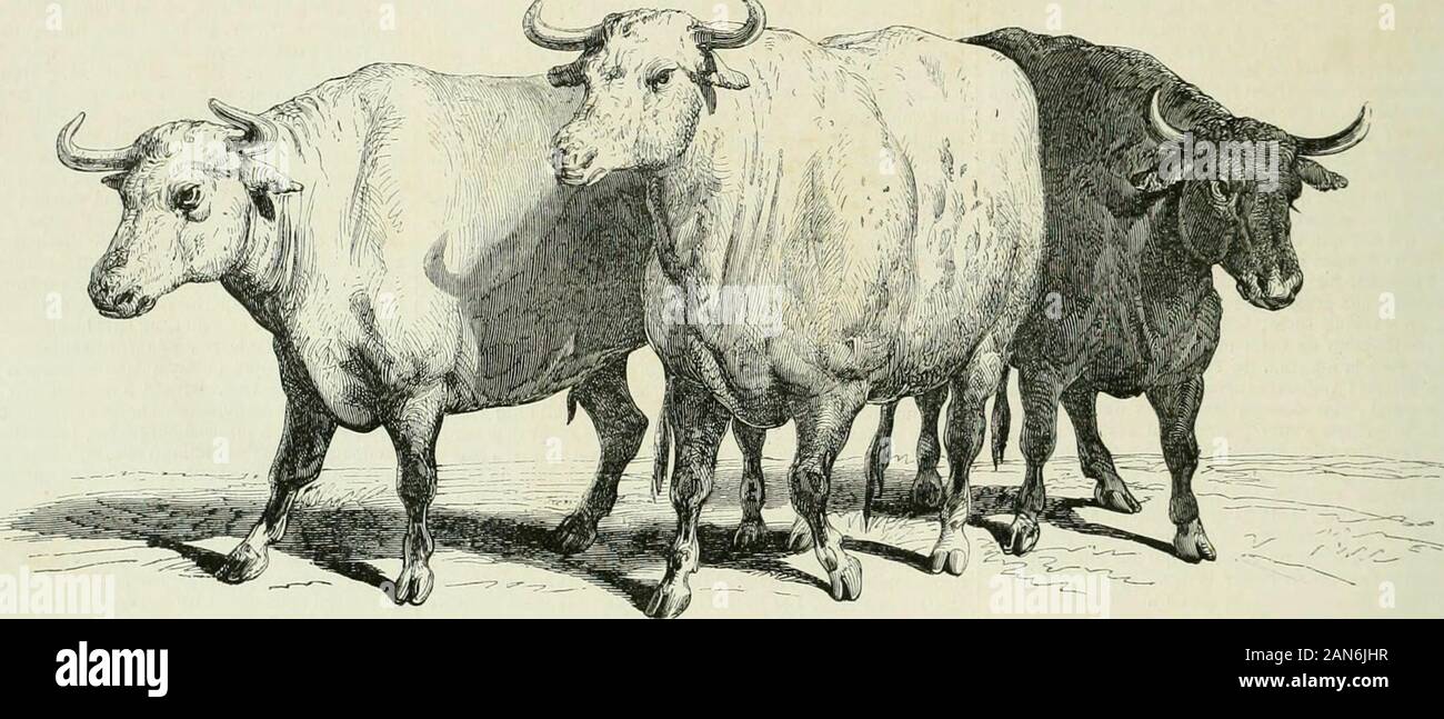 Page 7 - Donnée High Resolution Stock Photography And Images - Alamy