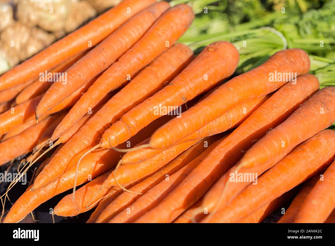 Close up of a bunch of fresh, orange carrots - on display for sale at a farmers market. Stock Photo