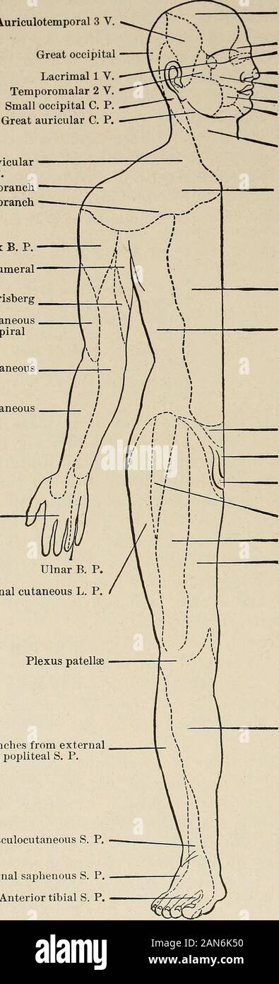 Nervous and mental diseases . ghted. A spring instrumentfitted with an ...
